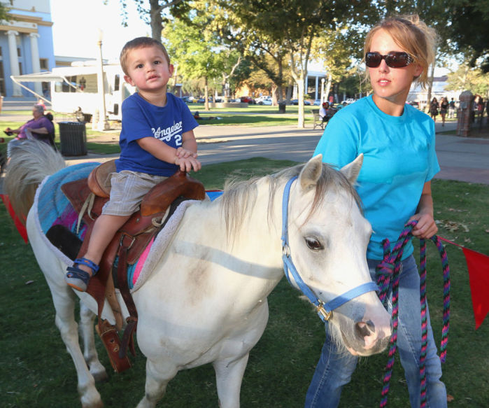 Petting zoo at Market Place